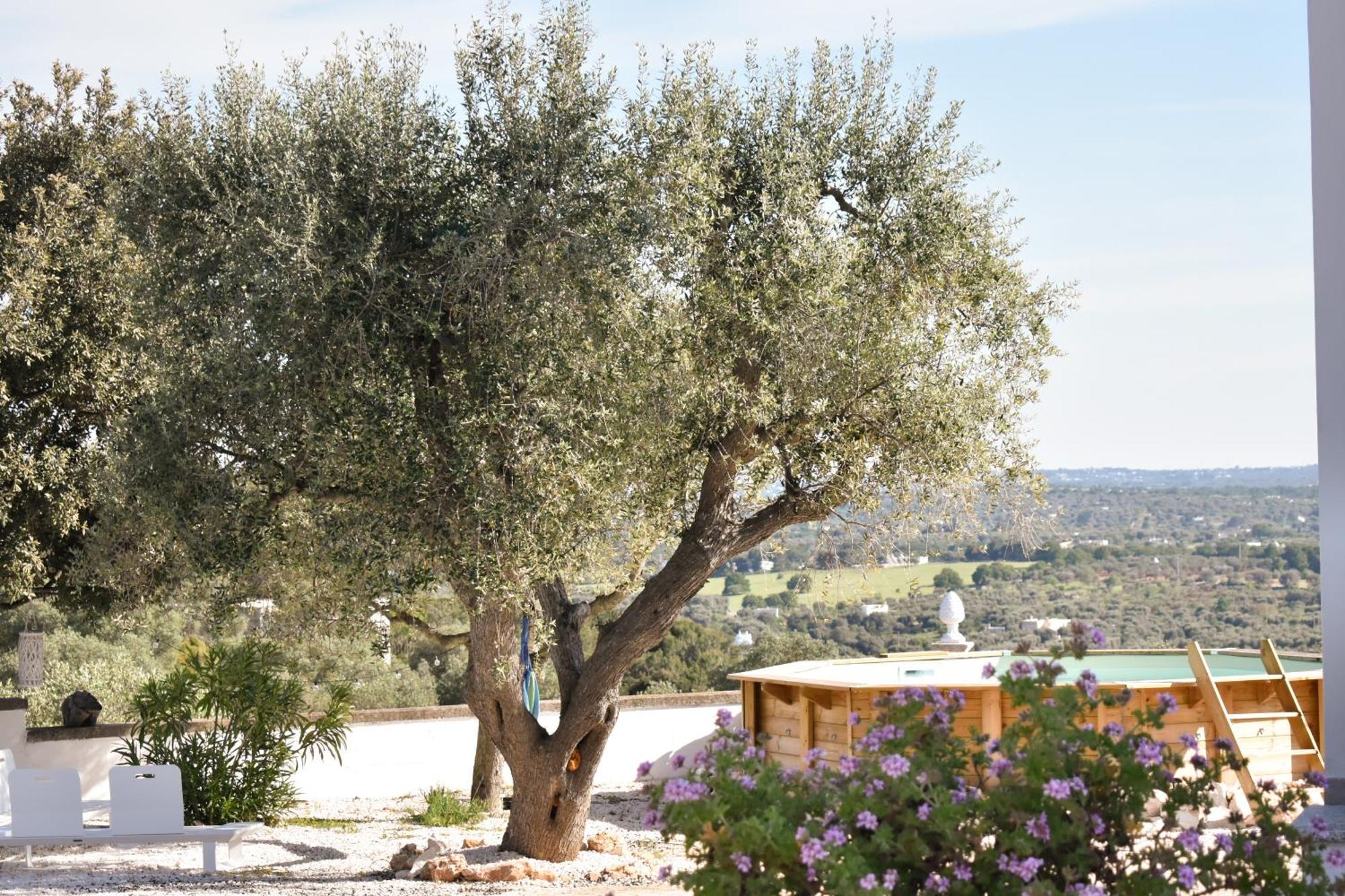 Terre D'Amore - For Couples Hotel Ostuni Exterior photo